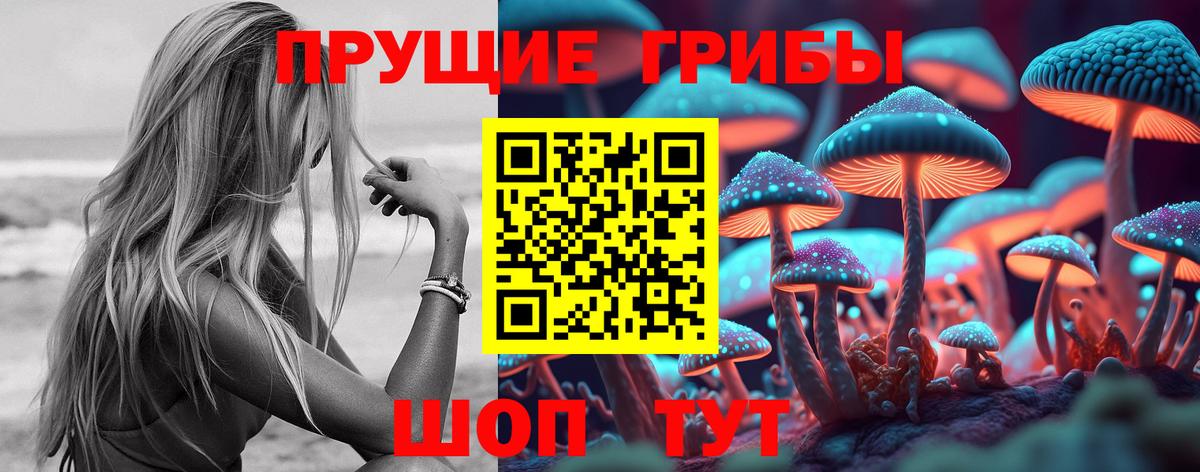 Вязники  Галлюциногенные грибы Psilocybe  Вход с VPN 